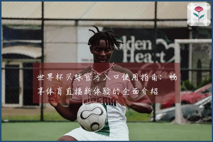 世界杯买球官方入口使用指南：畅享体育直播新体验的全面介绍