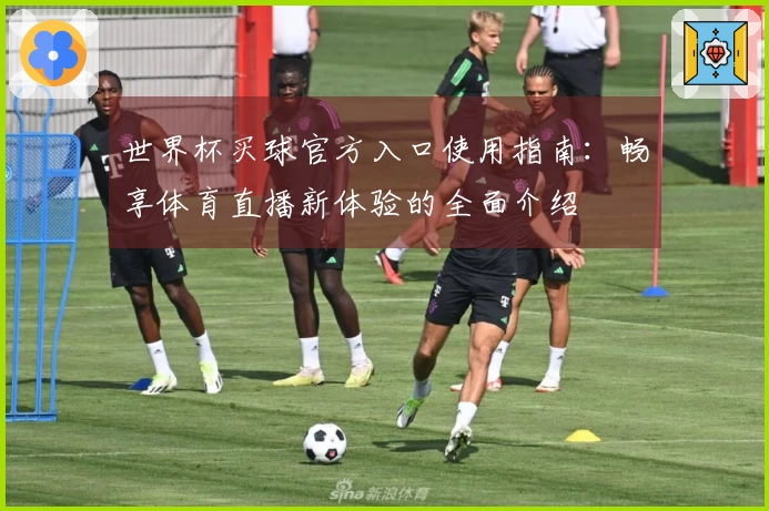 世界杯买球官方入口使用指南：畅享体育直播新体验的全面介绍