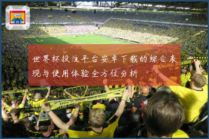 世界杯投注平台安卓下载的综合表现与使用体验全方位分析